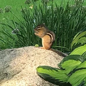 Meet your Posher, Teresa